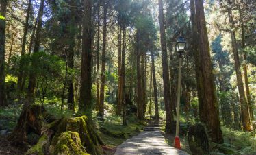 ตัวอย่างโปรแกรมทัวร์ไต้หวัน EXCLUSIVE TAIWAN TAIPEI – ALISHAN