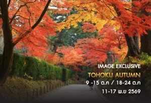 ทัวร์ญี่ปุ่น 5 ดาว โทโฮคุ ฤดูใบไม้ผลิ
