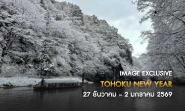 IMAGE JAPAN TOHOKU NEW YEAR 7D4N