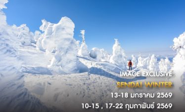 IMAGE EXCLUSIVE JAPAN SENDAI WINTER 6D4N