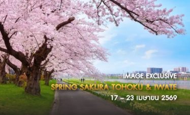 IMAGE SPRING SAKURA TOHOKU & IWATE 7D4N