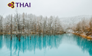 •ทัวร์ญี่ปุ่น  ทัวร์ฮอกไกโด 6 วัน 4 คืน<br>•IMAGE JAPAN HOKKAIDO<br>•วันที่ 11 – 16 ธันวาคม 2026 / 29 มกราคม – 3 กุมภาพันธ์ 2027 / 12 – 17 กุมภาพันธ์ 2027<br>•นิงเกิ้ลเทอเรส  ทะเลสาบคุชชาโระและกิจกรรมซุนายุ  ตลาดปลาโจไก