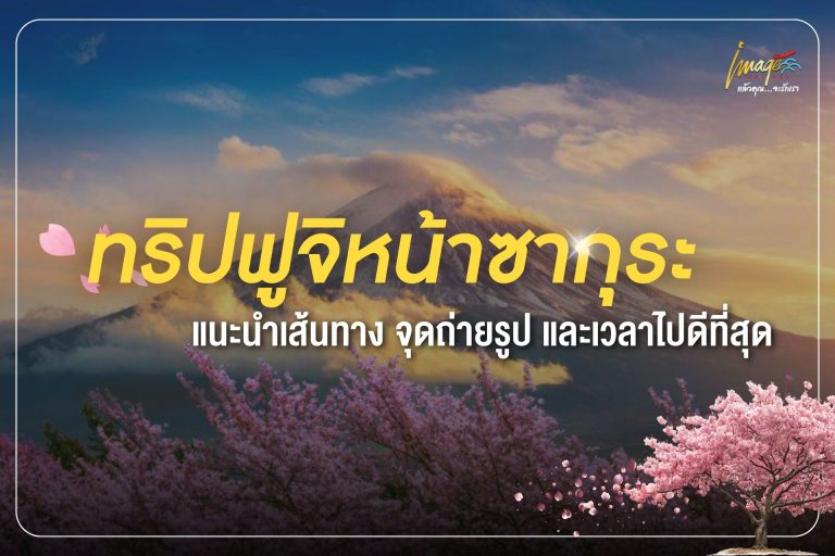 ทริปฟูจิหน้าซากุระ: แนะนำเส้นทาง จุดถ่ายรูป และเวลาไปดีที่สุด