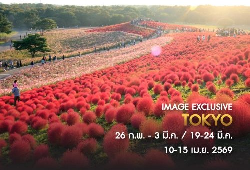 ทัวร์โตเกียว ทัวร์โตเกียวดิสนีย์แลนด์ ช่วงสงกรานต์