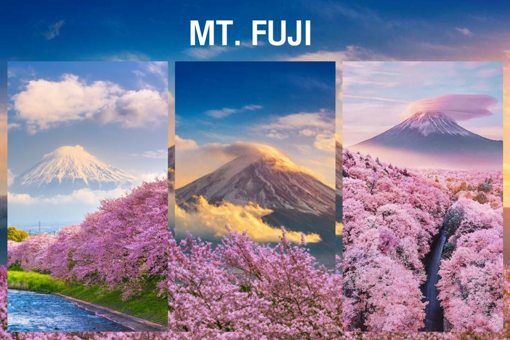 Mt. Fuji