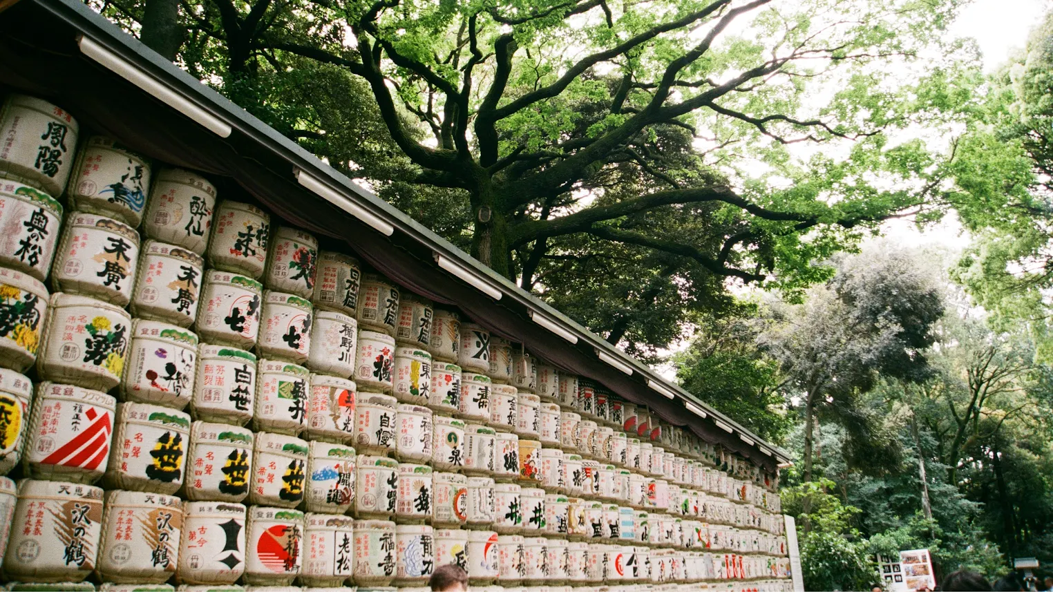 วัดในโตเกียว