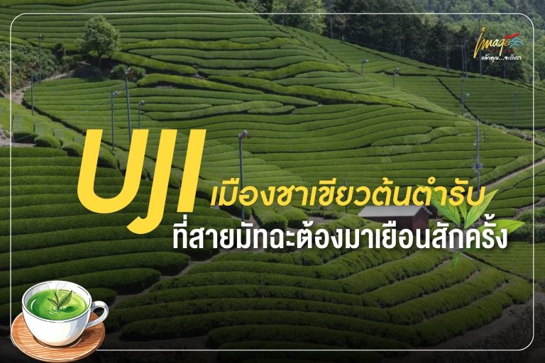 Uji เมืองชาเขียวต้นตำรับ ที่สายมัทฉะต้องมาเยือนสักครั้ง