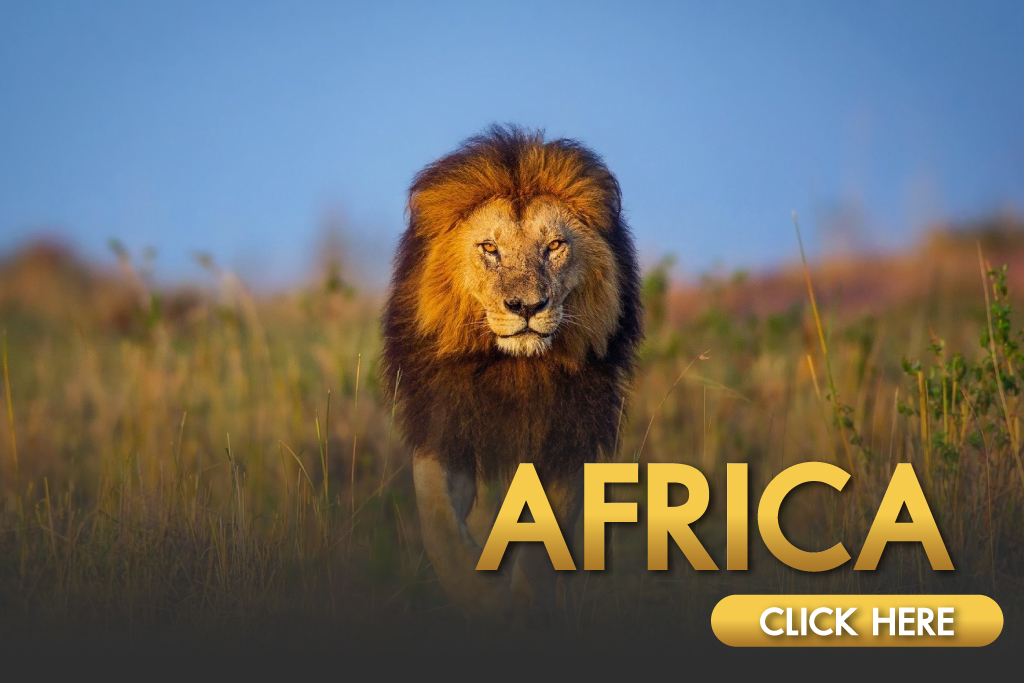 ทัวร์แอฟริกา