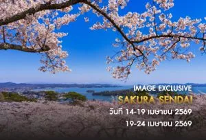 ทัวร์เซนไดฤดูใบไม้ผลิ ชมธรรมชาติซากุระบาน ช่วงสงกรานต์