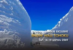 ทัวร์โทโฮคุ ชมกำแพงหิมะญี่ปุ่น ช่วงสงกรานต์