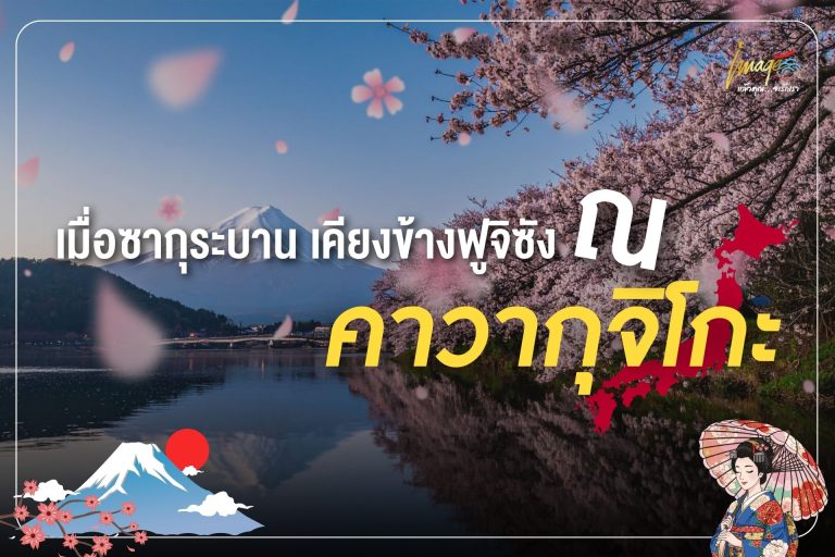 เมื่อซากุระบาน เคียงข้างฟูจิซัง ณ คาวากุจิโกะ