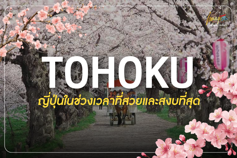 โทโฮคุ…ญี่ปุ่นในช่วงเวลาที่สวยและสงบที่สุด
