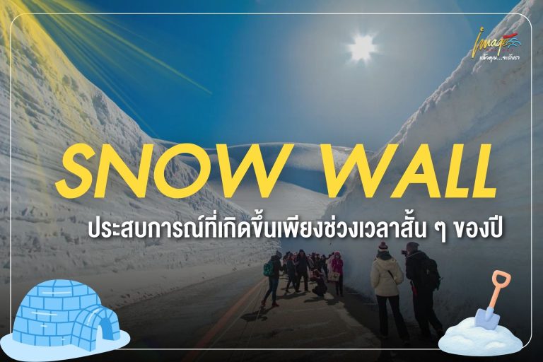 Snow Wall ประสบการณ์ที่เกิดขึ้นเพียงช่วงเวลาสั้น ๆ ของปี