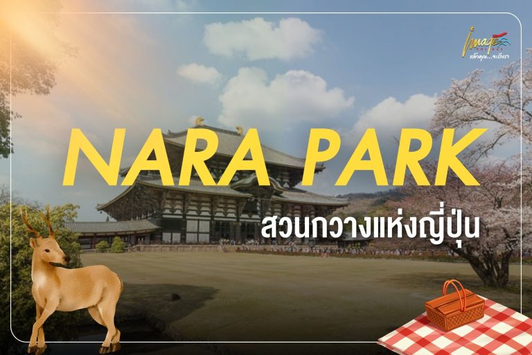 NARA PARK — สวนกวางแห่งญี่ปุ่น ที่ธรรมชาติและประวัติศาสตร์เดินเคียงกัน
