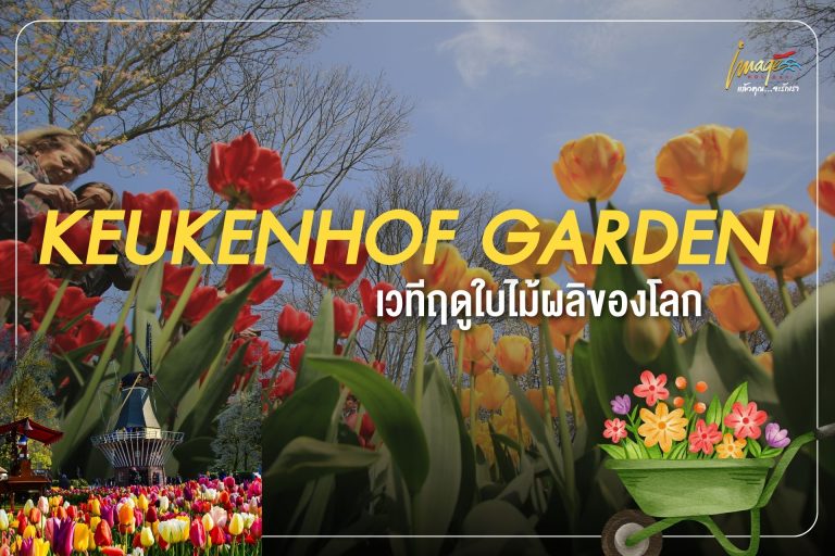 Keukenhof Garden เวทีฤดูใบไม้ผลิของโลก