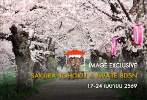 ทัวร์ญี่ปุ่น 5 ดาว โทโฮคุ อิวาเตะ ฤดูซากุระ