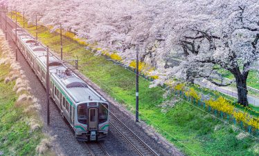 •ทัวร์ญี่ปุ่น ทัวร์ญี่ปุ่น ทัวร์เซนได 6 วัน 4 คืน <br>•IMAGE EXCLUSIVE SAKURA TOHOKU<br>•วันที่ 16 – 21 เมษายน / 20 – 25 เมษายน / 23 – 28 เมษายน 2570<br>•วิหารทองคำ วัดชูซอนจิ  เส้นทางกำแพงหิมะ  ล่องเรือชมหุบเขาเกบิเคอิ