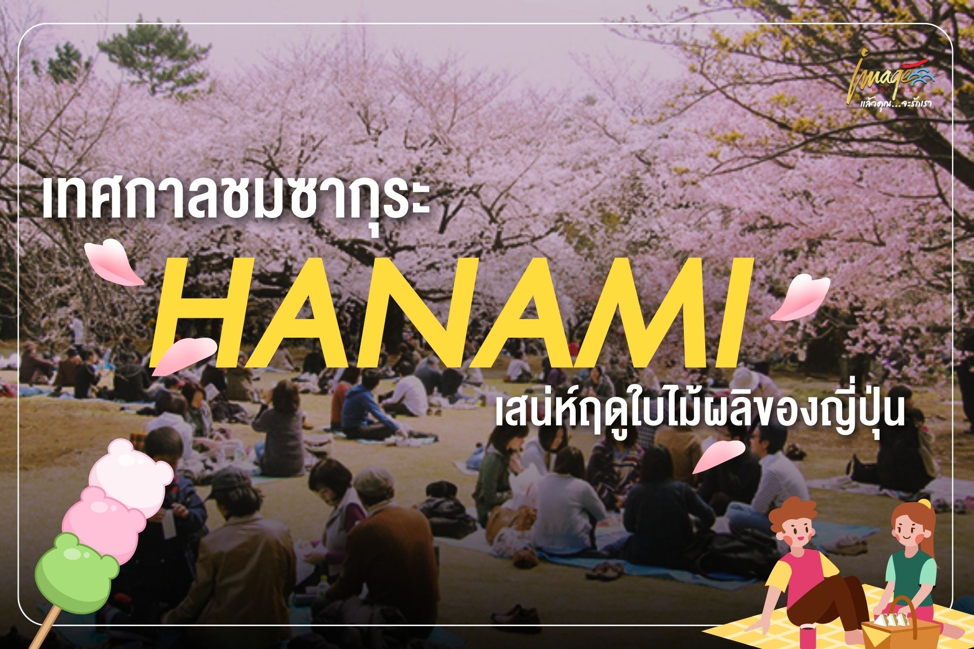 เทศกาลฮานามิ เทศกาลชมดอกซากุระ