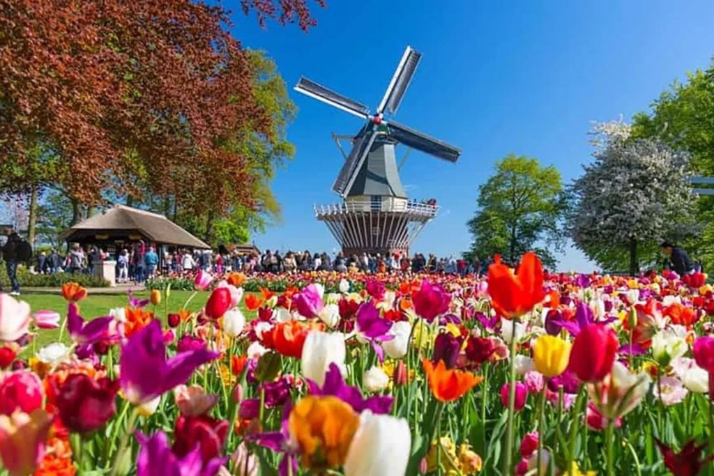 หน้าร้อนเที่ยวประเทศเนเธอร์แลนด์