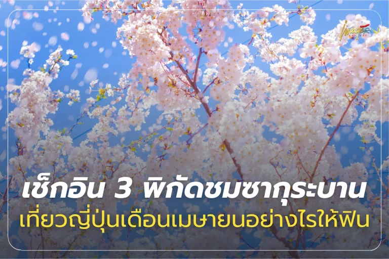 พิกัดชมซากุระบาน เที่ยวญี่ปุ่นเดือนเมษายน