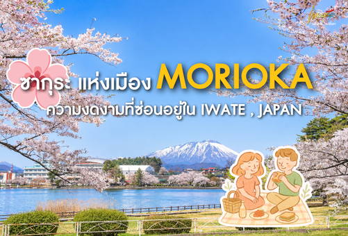 🌸 ซากุระ🌸แห่งเมือง MORIOKA ความงดงามที่ซ่อนอยู่ใน IWATE , JAPAN