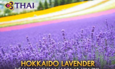 •ทัวร์ญี่ปุ่น ทัวร์ฮอกไกโด ลาเวนเดอร์ 6 วัน 4 คืน <br>•IMAGE EXCLUSIVE IN HOKKAIDO LAVENDER<br>•วันที่เดินทาง : หากสนใจกรุณาติดต่อเจ้าหน้าที่<br>•เมลอนยูบาริ  ฟาร์มโทมิตะ  เนินเขา 4 ฤดู