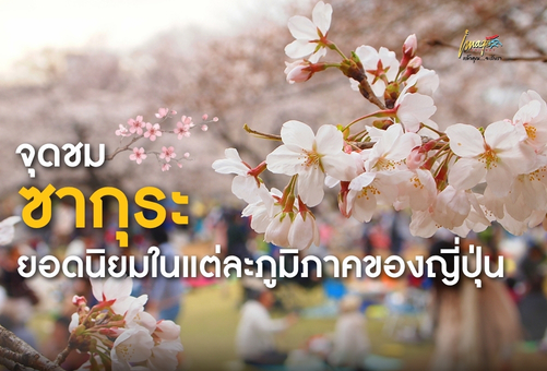 จุดชมซากุระยอดนิยมในแต่ละภูมิภาคของญี่ปุ่น