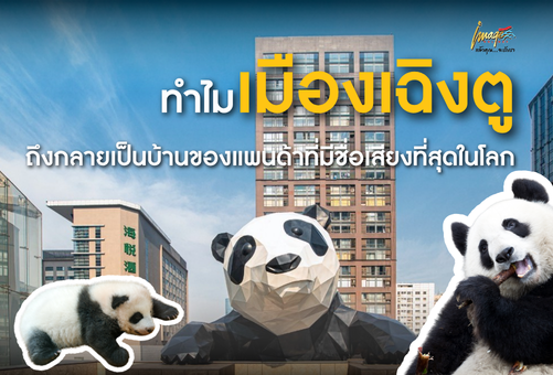 ทำไมเมืองเฉิงตูถึงกลายเป็นบ้านของแพนด้าที่มีชื่อเสียงที่สุดในโลก?