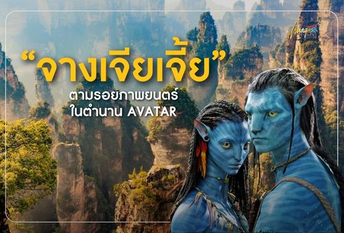 ปกบทความ (1)