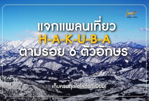 ปกบทความ