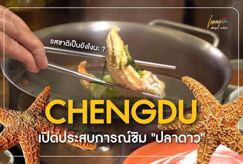 ปลาดาวกินได้จริงไหม? เปิดประสบการณ์ชิม “ปลาดาว” ที่เฉิงตู เมนูแปลกที่หลายท่านอยากลองสักครั้ง