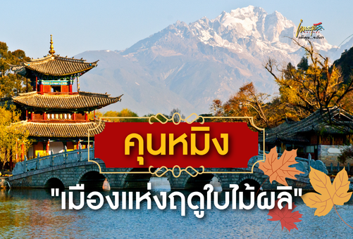 ทำไมคุนหมิงถึงได้ชื่อว่า “เมืองแห่งฤดูใบไม้ผลิ” อากาศดีจริงไหม?