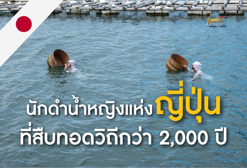 มิเอะ ดินแดนของอามะซัง นักดำน้ำหญิงแห่งญี่ปุ่นที่สืบทอดวิถีกว่า 2,000 ปี