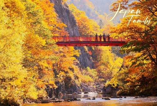 <br>•ทัวร์ญี่ปุ่นส่วนตัวแบบครอบครัว ฮอกไกโด 5 วัน 3 คืน <br>• IMAGE JAPAN HOKKAIDO 5D3N <br>• ช่วงเวลาแนะนำ : กันยายน-ธันวาคม 2569 / กำหนดวันเดินทางได้ตามต้องการ<br>• คลองโอตารุ เมืองโจซังเคอิ – โจซังเค ฟุตามิ ท่องเที่ยวอิสระตามอัธยาศัยในซัปโปโร