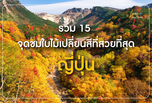 รวม 15 จุดชมใบไม้เปลี่ยนสีที่สวยที่สุดในญี่ปุ่น อัปเดตเส้นทางห้ามพลาด