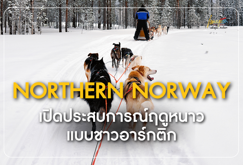 เปิดประสบการณ์ฤดูหนาวแบบชาวอาร์กติก ล่าแสงเหนือที่นอร์เวย์