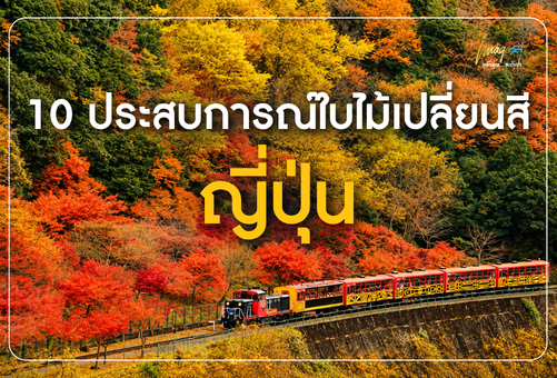 10 ประสบการณ์ใบไม้เปลี่ยนสีในญี่ปุ่น ที่ควรลองสักครั้งในชีวิต