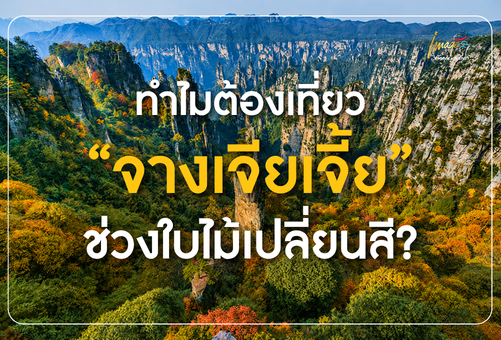 ทำไมต้องเที่ยวจางเจียเจี้ยช่วงใบไม้เปลี่ยนสี? เมื่อภูเขาหินทรายทั้งผืนถูกแต่งแต้มด้วยสีสันแห่งฤดูใบไม้ร่วง
