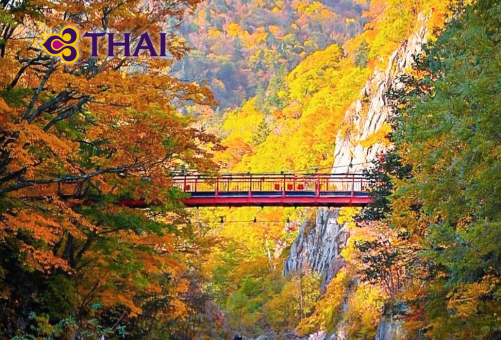 <br>•ทัวร์ญี่ปุ่นส่วนตัวแบบครอบครัว ฮอกไกโด 5 วัน 3 คืน <br>• IMAGE JAPAN HOKKAIDO 5D3N <br>• วันที่ 1-5 ก.ย. / 15-19 ก.ย. / 29ก.ย.-03ต.ค. / 27-31 ต.ค.2569 <br>•วันที่ 10-14 พ.ย. / 17-21 พ.ย. / 24-28 พ.ย. / 2-5 ธ.ค. / 8-12ธ.ค. / 22-26 ธ.ค.2569 <br>• คลองโอตารุ เมืองโจซังเคอิ – โจซังเค ฟุตามิ ท่องเที่ยวอิสระตามอัธยาศัยในเมืองซัปโปโร….