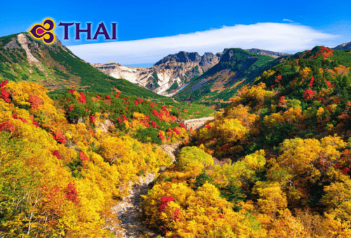 •ทัวร์ญี่ปุ่นส่วนตัวแบบครอบครัว ฮอกไกโด 6 วัน 4 คืน <br>•IMAGE JAPAN HOKKAIDO 6D 4N <br>•วันที่ 1-6 ก.ย. / 15-20 ก.ย. / 29 ก.ย.-04ต.ค. / 27 ต.ค. – 1 พ.ย. 2569 <br>•วันที่ 10-15 พ.ย. / 17-22 พ.ย. / 24-29 พ.ย. / 2-6 ธ.ค. / 8-13ธ.ค. / 22-27 ธ.ค.2569 <br>•ฟุราโน่ จซังเค – ฟุตามิ – พิพิธภัณฑ์กล่องดนตรี –   คลองโอตารุ